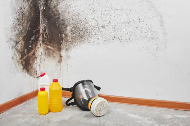 Best Crawl Space Mold Removal  in Fox Crossing, WI