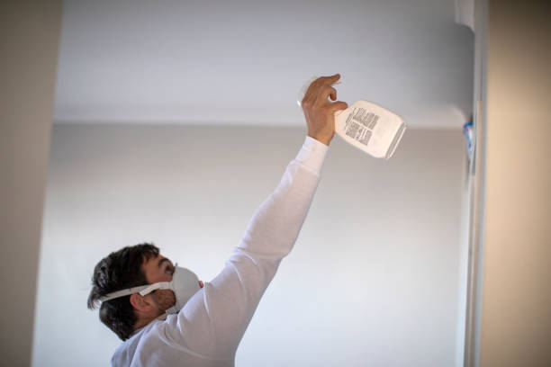 Best Best Mold Removal Companies  in Fox Crossing, WI