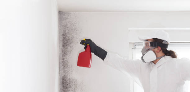 Best Residential Mold Removal  in Fox Crossing, WI